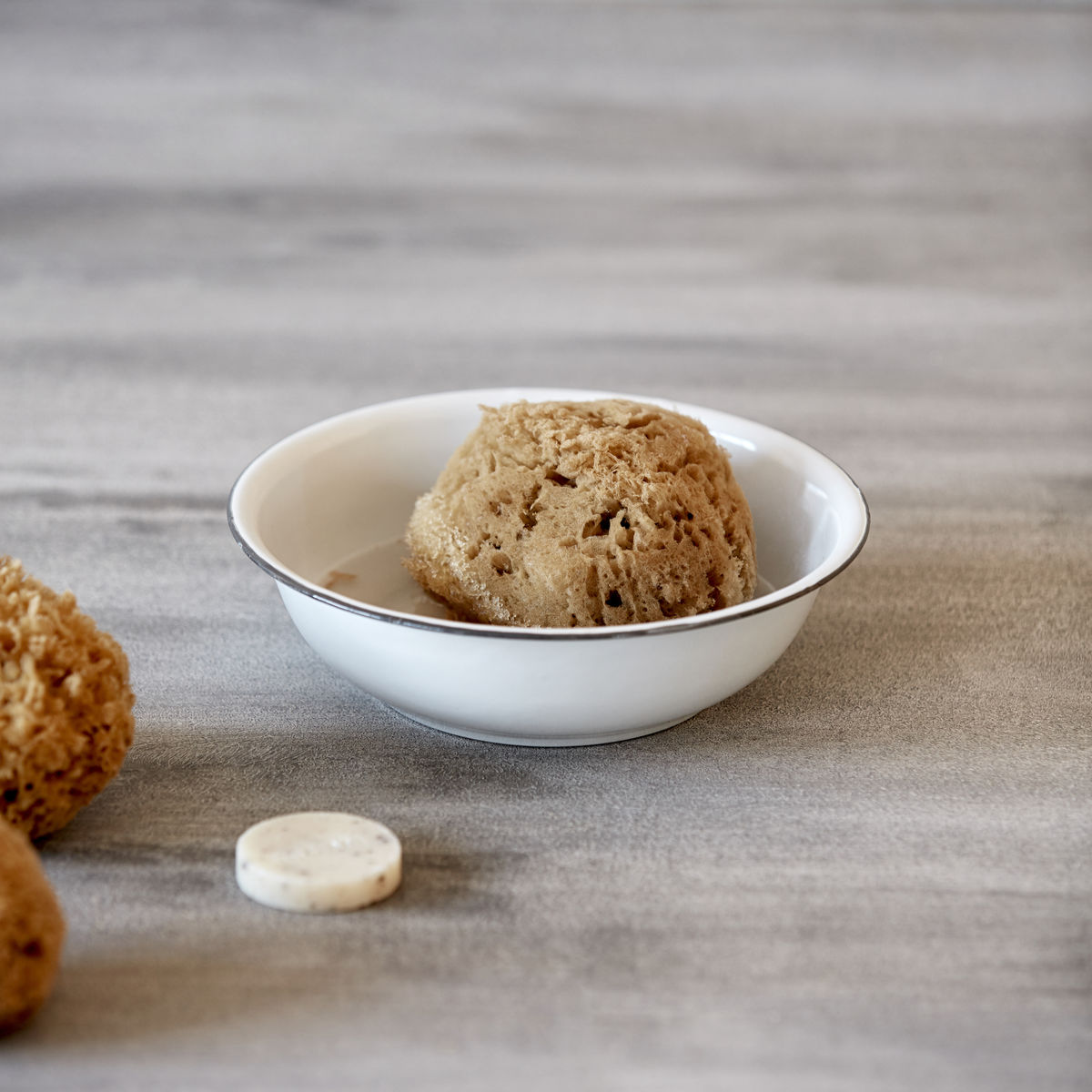 Svamp "Bahamas" Svamp "Bahamas"