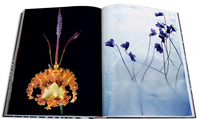 Flowers - Art & Bouquets Flowers - Art & Bouqets