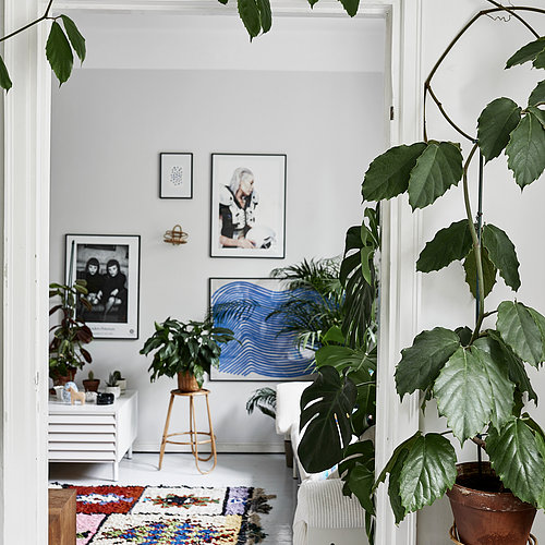 Green Home Book Green home book