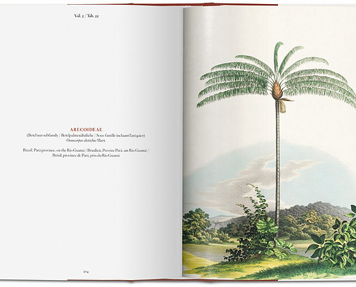 The book of palms The Book of Palms