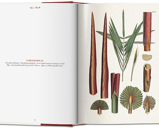 The book of palms The Book of Palms