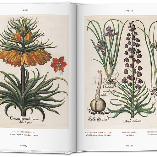 Florilegium - The book of plants Florilegium