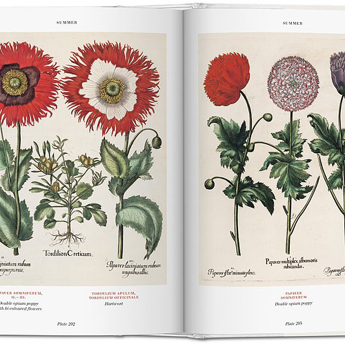 Florilegium - The book of plants Florilegium