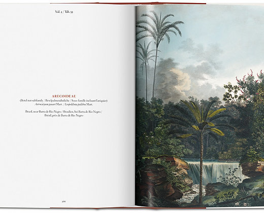 The book of palms The Book of Palms