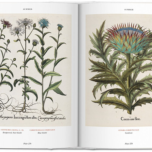 Florilegium - The book of plants Florilegium