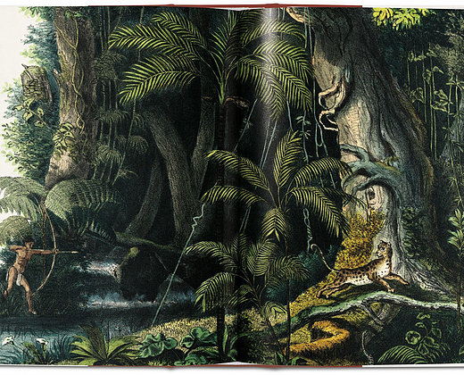 The book of palms The Book of Palms