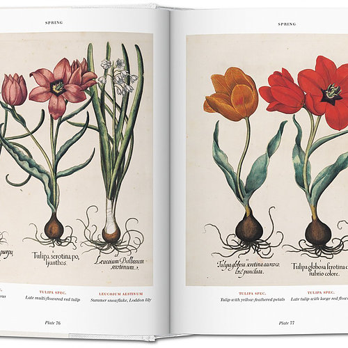 Florilegium - The book of plants Florilegium