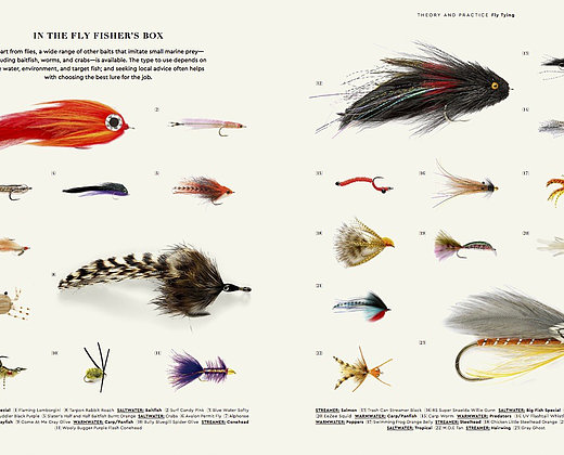 Fly fisher 3 The Fly Fisher