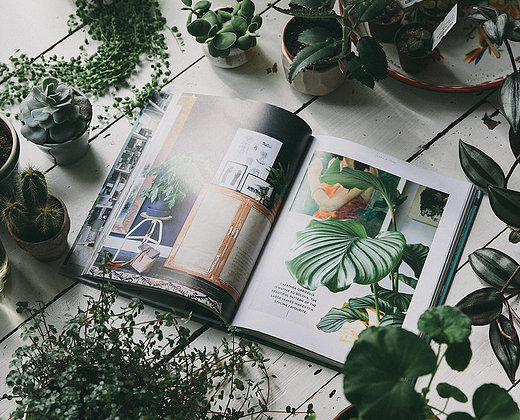 Urban Jungle 1 Urban Jungle