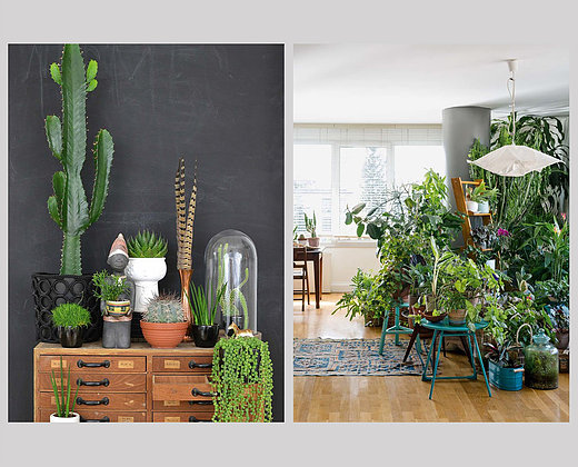 Urban Jungle 4 Urban Jungle