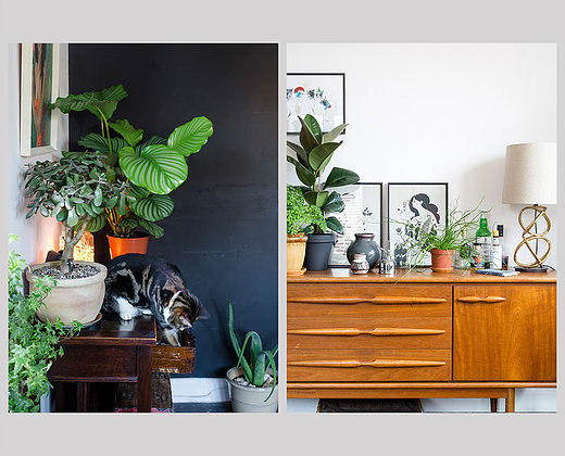 Urban jungle 3 Urban Jungle