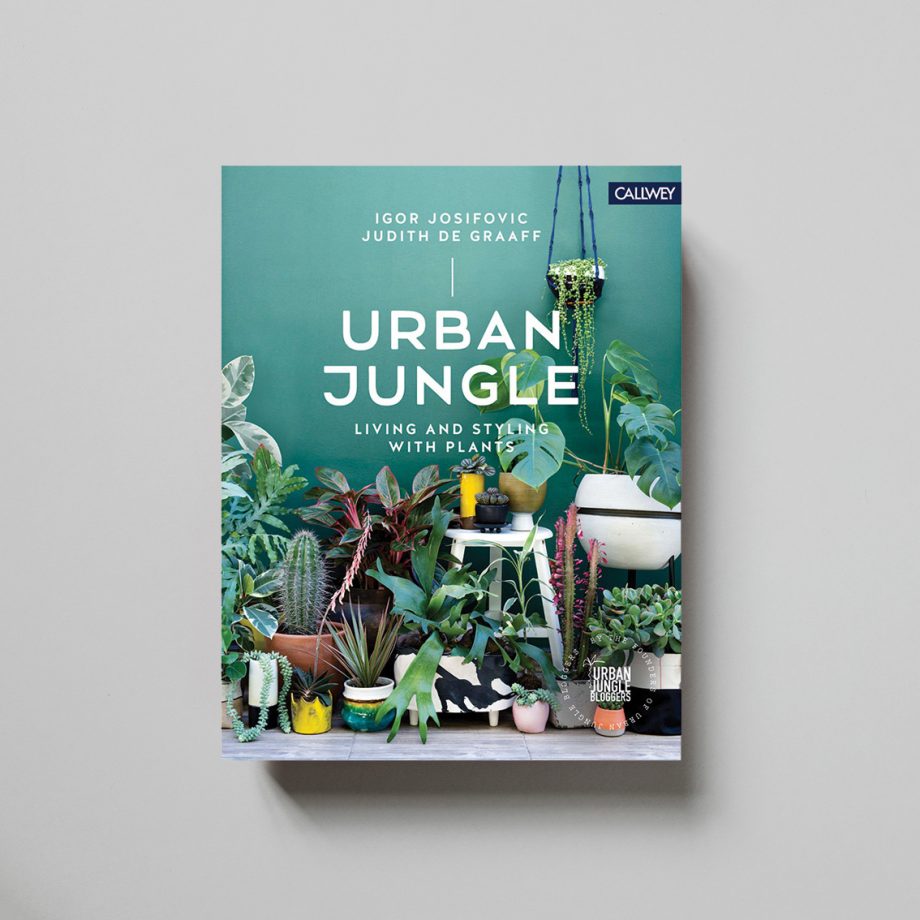 UrbanJungle 920x920 - Urban Jungle
