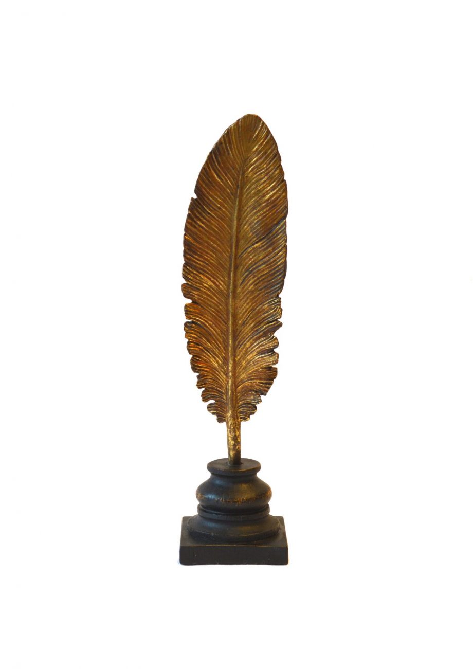 fjær 920x1301 - Golden feather
