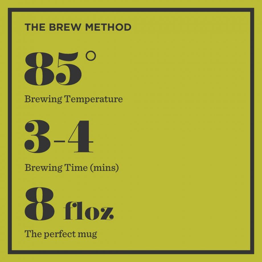 GT Bag Instructions 920x920 - Brew Tea - Green tea