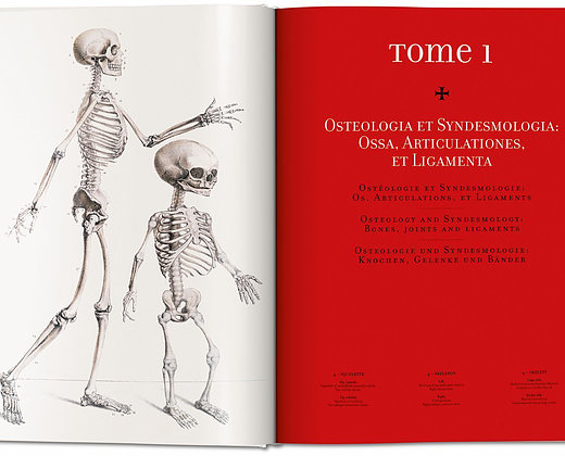 Atlas of human anatomy and surgery Atlas av menneskelig anatomi og kirurgi