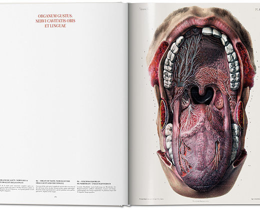 Atlas of human anatomy and surgery Atlas av menneskelig anatomi og kirurgi