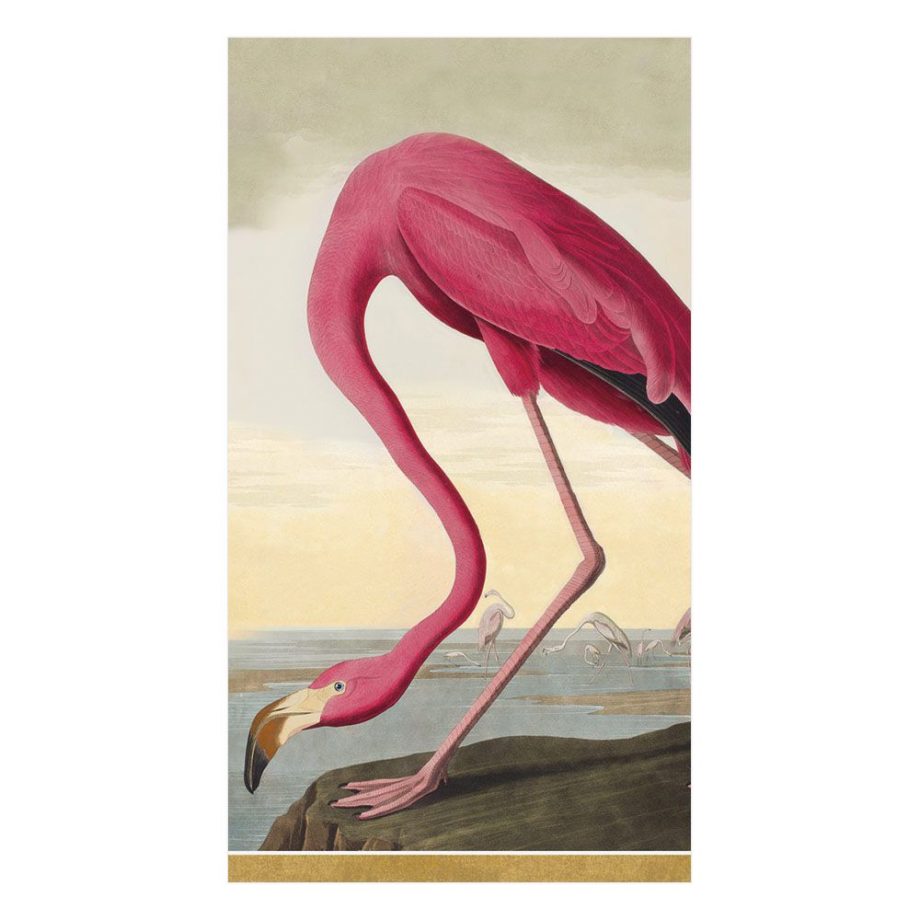 ng13120 920x920 - Servietter - "Audubon birds"