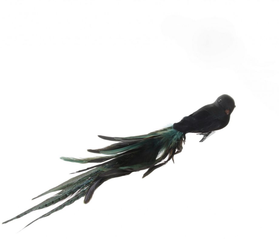 51243 920x790 - Fugl - Bird with clip, mixed black/green