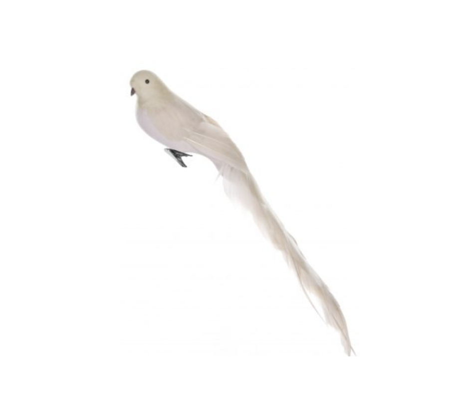 Skjermbilde 2020 10 14 kl. 11.43.36 920x821 - Fugl - Feather bird, beige long tail
