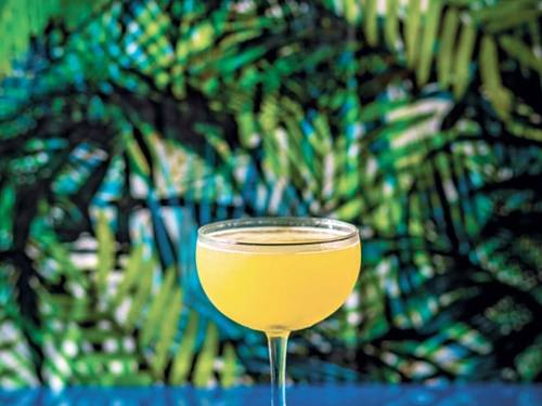 Tiki - Modern Tropical Cocktails Tiki - Modern Tropical Cocktails