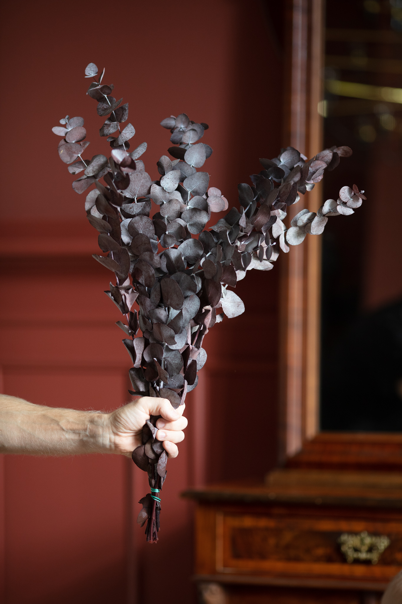 Eucalyptus Espiral - Red Eucalyptus Espiral - Red