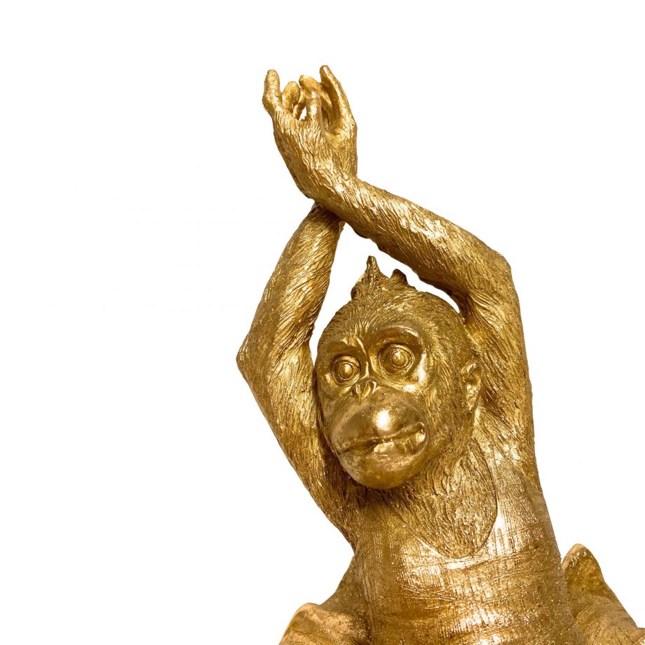 IMG 7996 920x920 - Gorilla "Ballet" - Gold