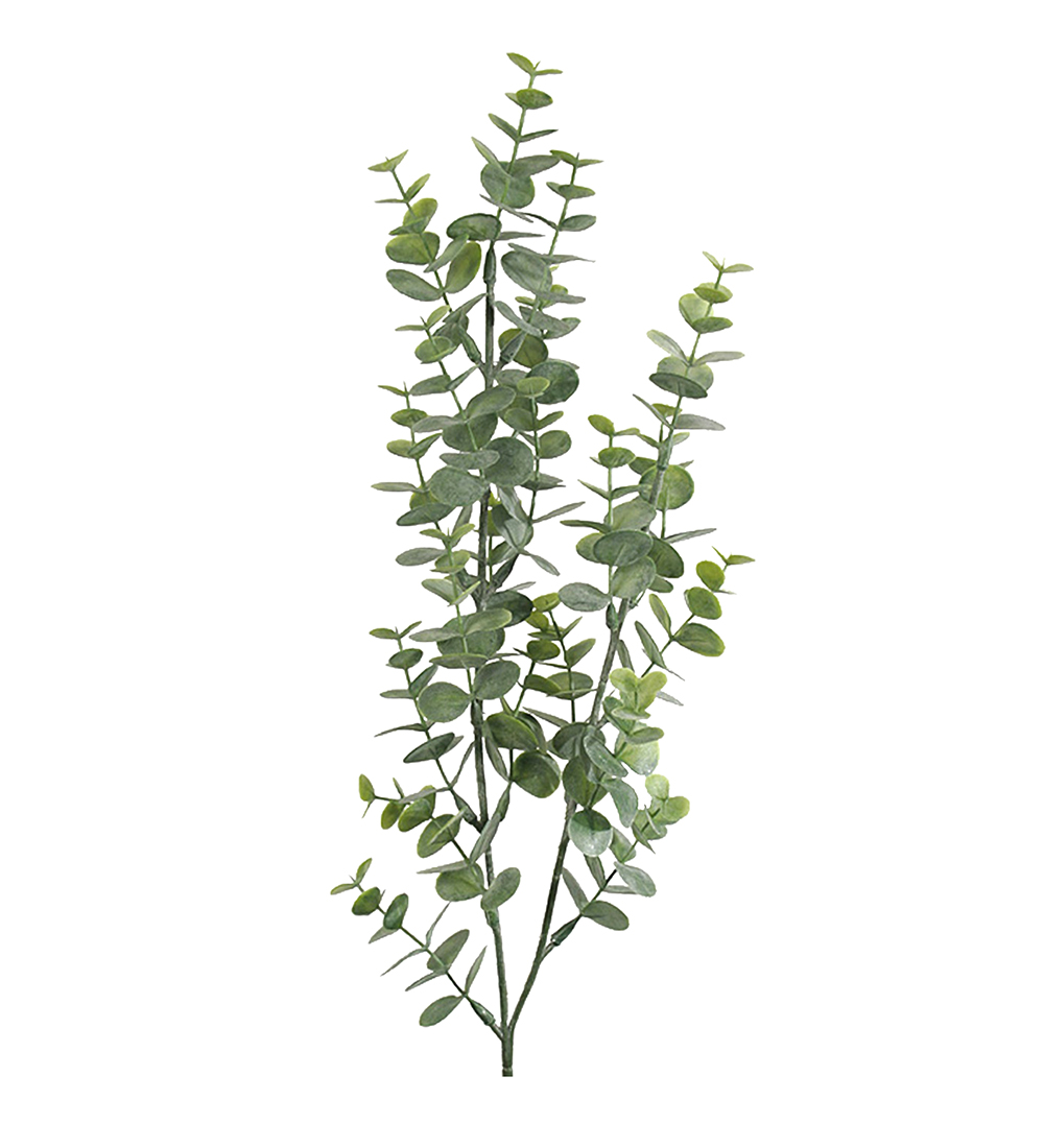Snittblomst - Eucalyptus 74 cm Snittblomst - Eucalyptus 74 cm