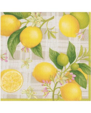 14390l caspari citron paper luncheon napkins 20 per package 28415624904839 1024x1024 350x435 - Servietter - "Citron"