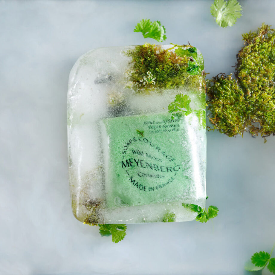 Meyenberg Soap Scent hand wash Wild Moss Coriander isblock 1 1200x1200 1 920x920 - Håndsåpe "Wild Moss & Coriander" - 500 ml